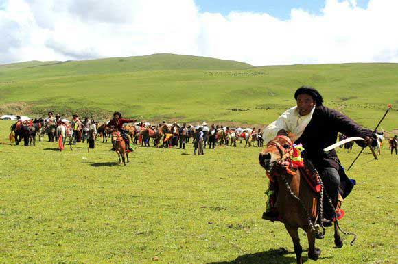 藏族草原