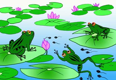 池塘小青蛙