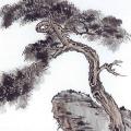 齐景公最爱的一棵树：婧女救父