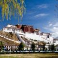 西藏为何超级信仰观世音：观世音是西藏守护神